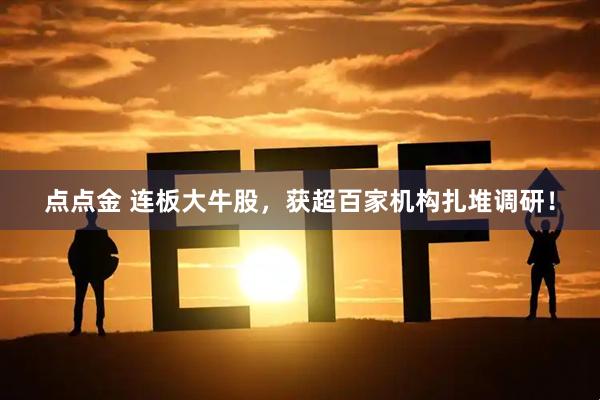 点点金 连板大牛股，获超百家机构扎堆调研！