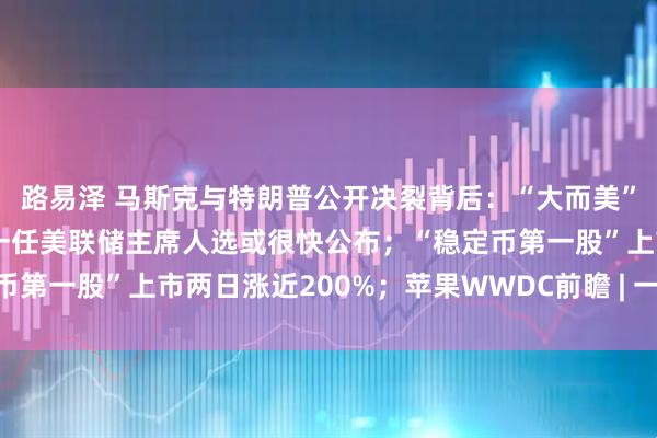 路易泽 马斯克与特朗普公开决裂背后：“大而美”法案动了谁的奶酪？下一任美联储主席人选或很快公布；“稳定币第一股”上市两日涨近200%；苹果WWDC前瞻 | 一周国际财经