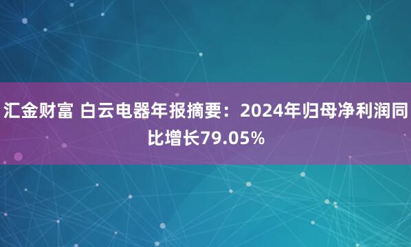 汇金财富 白云电器年报摘要：2024年归母净利润同比增长79.05%
