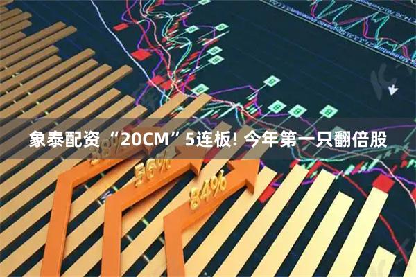 象泰配资 “20CM”5连板! 今年第一只翻倍股