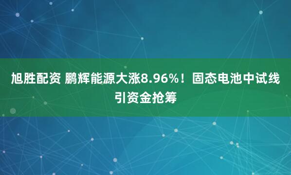 旭胜配资 鹏辉能源大涨8.96%！固态电池中试线引资金抢筹